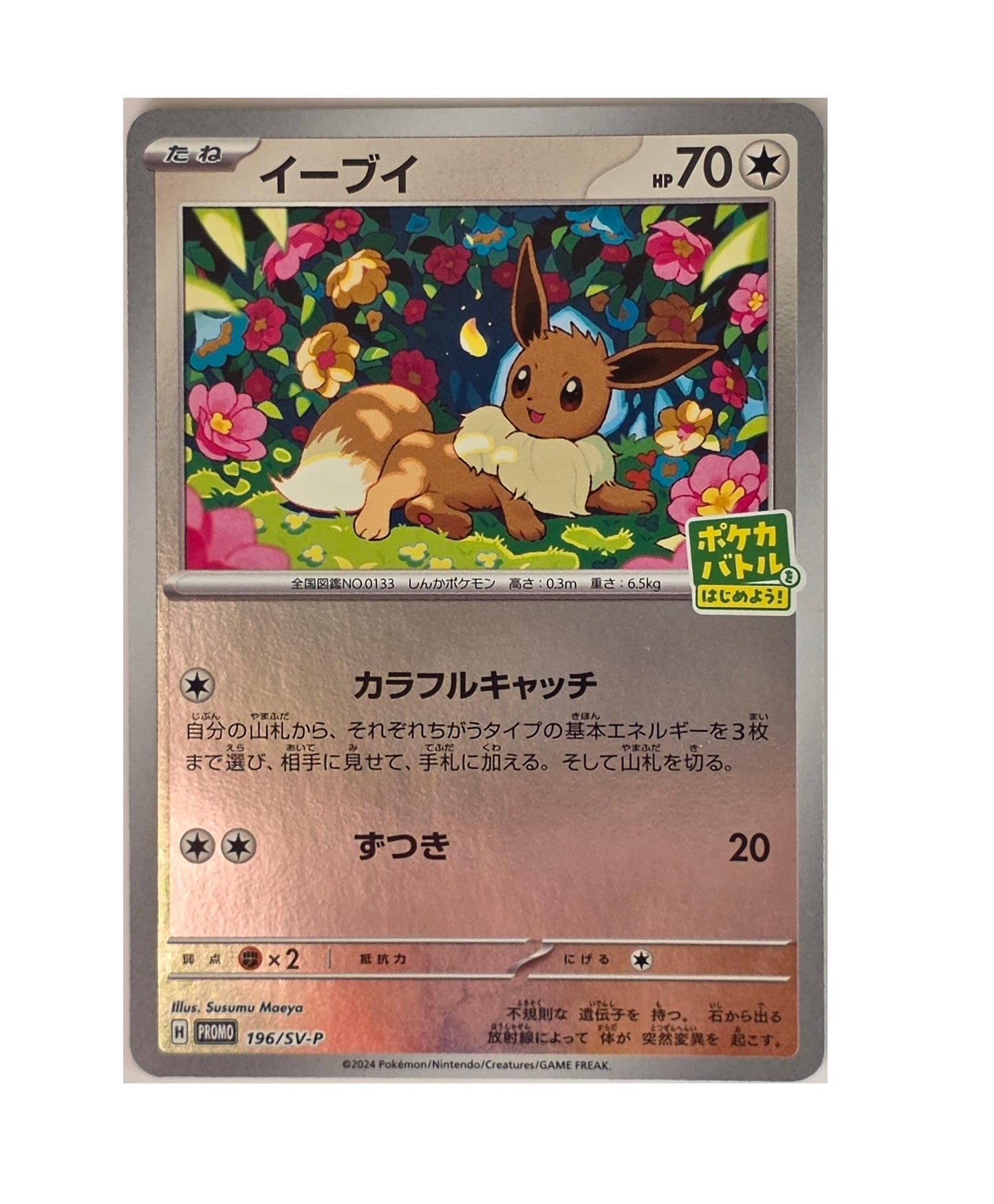 Evoli / SV-P-196 (Japonais NM)